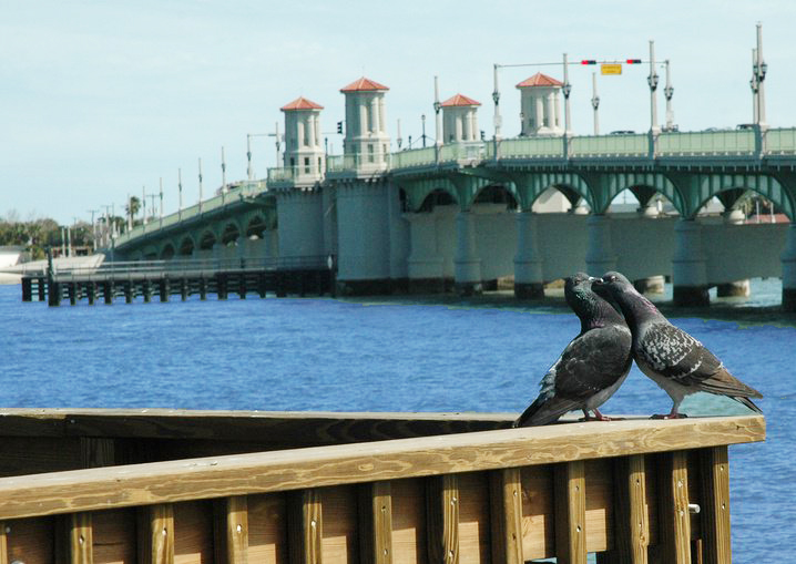 Bridge of Lions